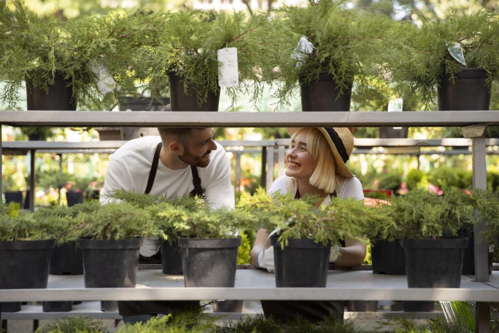 Ideas de Negocios Ecológicos